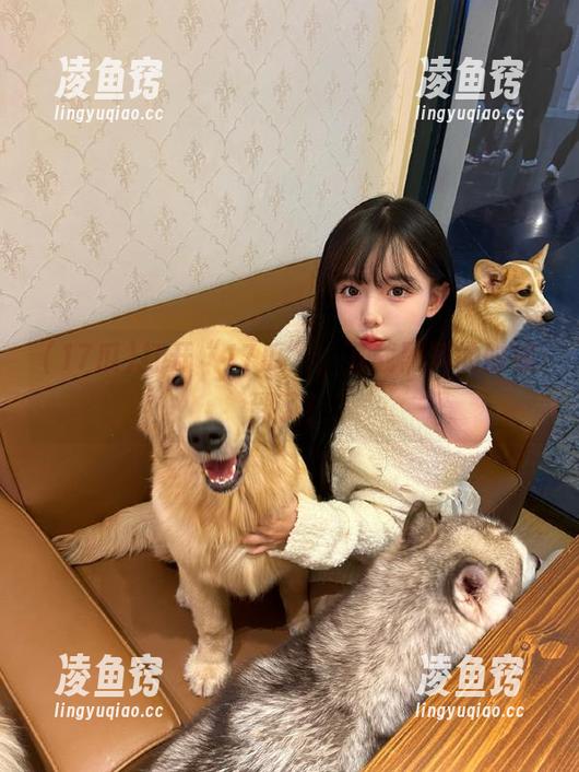 打开“17瓜”，下载黑料的时候到了！