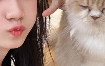 “51cgfun”上教我如何永久保持单身——这技能必须收藏！