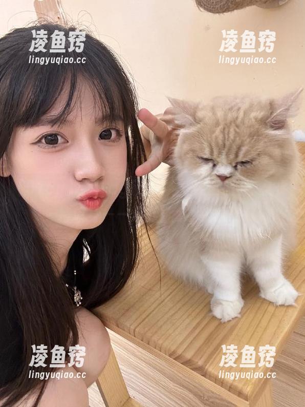 “51cgfun”上教我如何永久保持单身——这技能必须收藏！