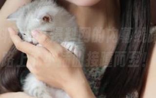 51爆料网的内幕线路，吃瓜路上的小插曲接踵而至！