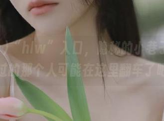 “hlw”入口，隐秘的小巷子，你爱过的那个人可能在这里翻车了吧？