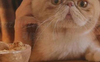 tttzzz.su黑料网址，你的真爱可能在这里等你哦