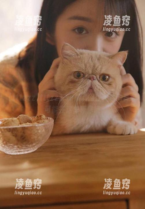 tttzzz.su黑料网址，你的真爱可能在这里等你哦