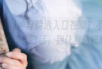 冲哥精选入口在哪？不聊了，我先去查查路标，别让我迷路啊！