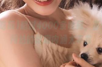 超过4000条收藏，吾爱吃瓜网站的谐趣内涵太丰富