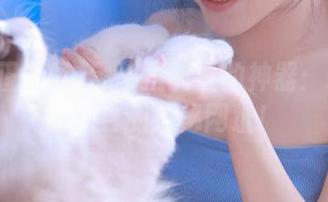 黑料正能量的神器：永不迷路和它的神秘网址！