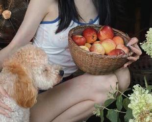 每天只需打开“黑料社区”app，在线看八卦，还可以顺便让我的表情包拿奖！