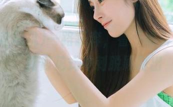 一路狂奔，看“黑料老司机”如何花式冲刺脱颖而出